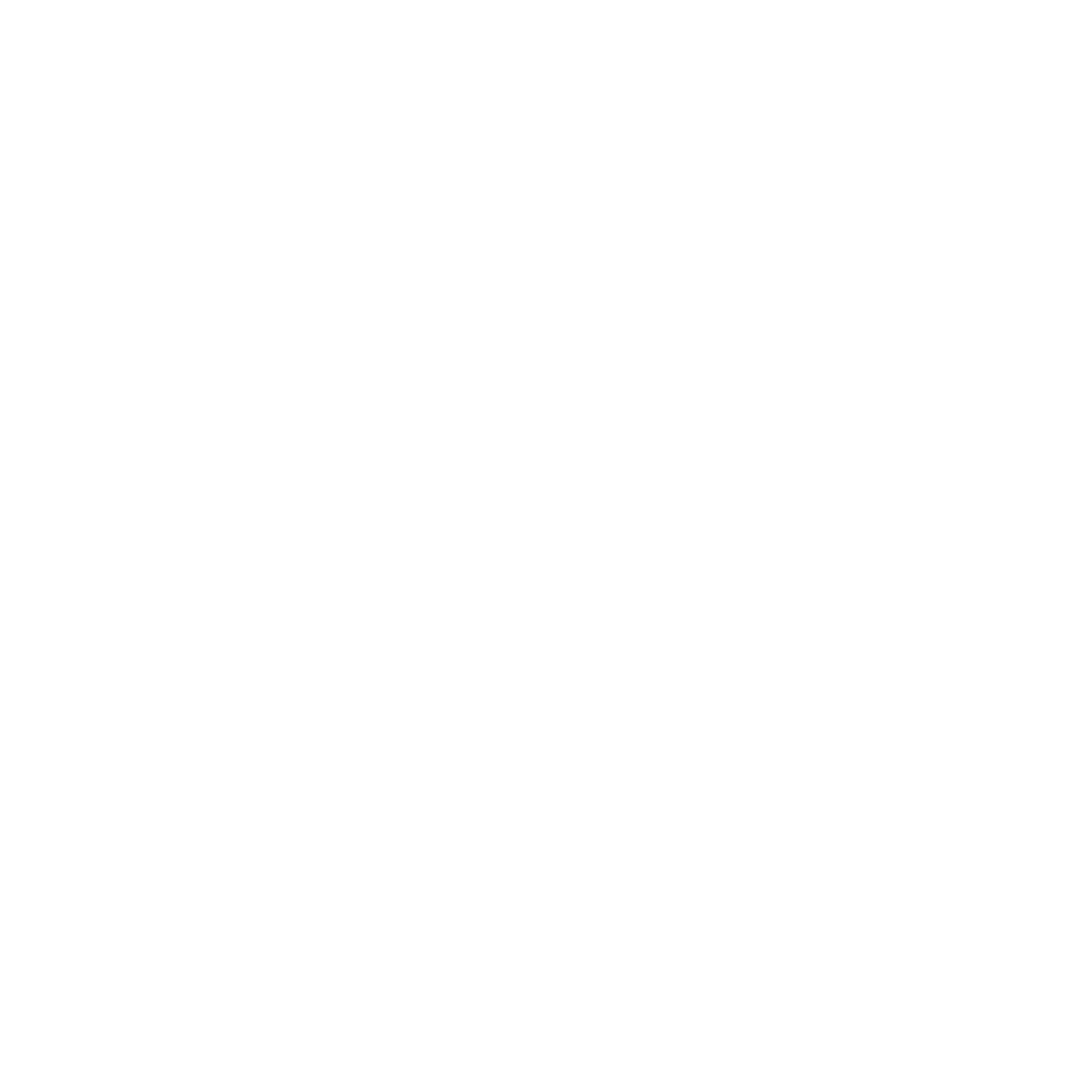 V-Vill Plusz Kft. logó